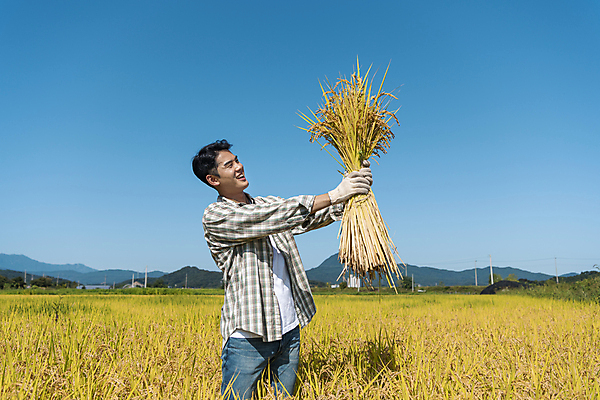포토 JPG 응시 남자 장갑 논 한명 미소 들기 상반신 20대 성인 옆모습 농사 한국인 수확 추수 벼 가을 농촌 농부 귀농 전원생활 성인남자한명만 국내포토 여주시 직업 1 시선 잡화 계절 뷰포인트 농업 모션 곡류 표정 사람 동양인 청년 생활 시골 경기도 남자한명만 성인남자만 파일형식