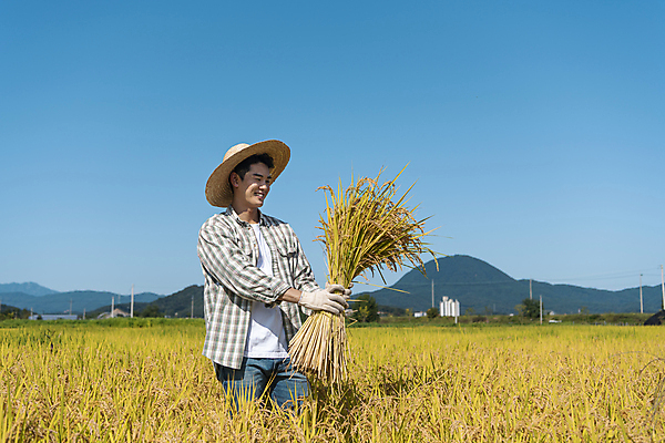 포토 JPG 응시 남자 장갑 논 한명 미소 들기 상반신 20대 성인 옆모습 농사 한국인 수확 추수 벼 가을 농촌 농부 밀짚모자 귀농 전원생활 성인남자한명만 국내포토 여주시 직업 모자_잡화 1 시선 잡화 계절 뷰포인트 농업 모션 곡류 표정 사람 동양인 청년 생활 시골 경기도 남자한명만 성인남자만 파일형식
