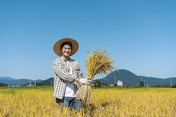 포토 JPG 남자 장갑 논 한명 미소 들기 상반신 20대 성인 앞모습 농사 한국인 수확 추수 벼 가을 농촌 농부 밀짚모자 귀농 전원생활 성인남자한명만 국내포토 여주시 직업 모자_잡화 1 잡화 계절 뷰포인트 농업 모션 곡류 표정 사람 동양인 청년 생활 시골 경기도 남자한명만 성인남자만 파일형식