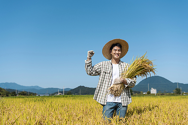 포토 JPG 남자 장갑 논 한명 미소 들기 상반신 20대 성인 앞모습 농사 파이팅 주먹 한국인 수확 추수 벼 가을 농촌 농부 밀짚모자 귀농 전원생활 성인남자한명만 국내포토 여주시 직업 모자_잡화 1 잡화 계절 뷰포인트 농업 모션 곡류 표정 사람 동양인 청년 생활 시골 경기도 남자한명만 성인남자만 파일형식