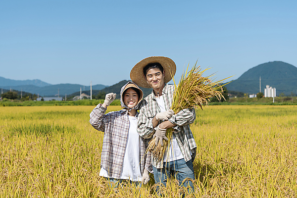 포토 JPG 주간 여자 남자 장갑 논 미소 들기 상반신 20대 성인 야외 두명 앞모습 농사 파이팅 주먹 한국인 수확 추수 벼 가을 농촌 농부 밀짚모자 귀농 전원생활 성인만 국내포토 여주시 자연요소 직업 모자_잡화 잡화 계절 뷰포인트 농업 모션 곡류 표정 사람 동양인 청년 생활 시골 경기도 파일형식