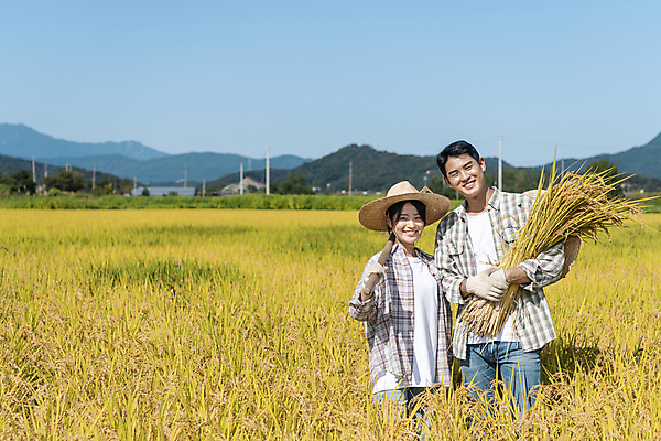 포토 JPG 주간 응시 여자 남자 장갑 논 미소 들기 상반신 20대 성인 야외 두명 앞모습 농사 한국인 수확 추수 벼 가을 농촌 농부 밀짚모자 귀농 전원생활 성인만 국내포토 여주시 자연요소 직업 모자_잡화 시선 잡화 계절 뷰포인트 농업 모션 곡류 표정 사람 동양인 청년 생활 시골 경기도 파일형식
