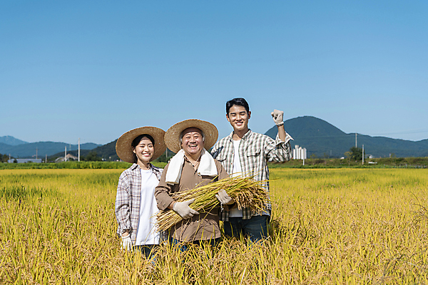 포토 JPG 주간 여자 노년 남자 장갑 논 미소 들기 상반신 20대 성인 야외 앞모습 세명 수건 농사 파이팅 주먹 한국인 수확 추수 벼 가을 농촌 농부 밀짚모자 귀농 70대 전원생활 국내포토 여주시 자연요소 직업 모자_잡화 잡화 계절 뷰포인트 농업 모션 곡류 표정 사람 동양인 청년 생활 위생용품 시골 경기도 파일형식