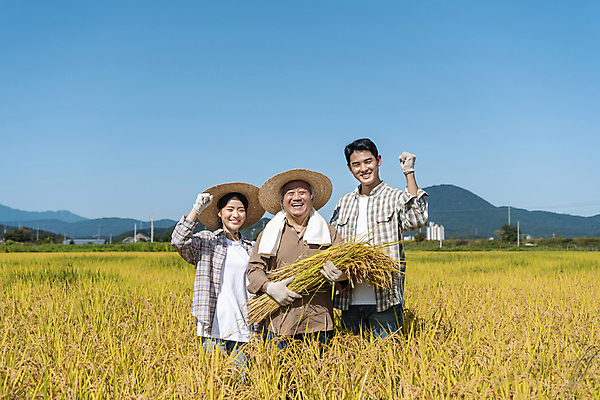 포토 JPG 주간 응시 여자 노년 남자 장갑 논 미소 들기 상반신 20대 성인 야외 앞모습 세명 수건 농사 파이팅 주먹 한국인 수확 추수 벼 가을 농촌 농부 밀짚모자 귀농 70대 전원생활 국내포토 여주시 자연요소 직업 모자_잡화 시선 잡화 계절 뷰포인트 농업 모션 곡류 표정 사람 동양인 청년 생활 위생용품 시골 경기도 파일형식