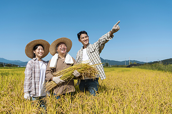 포토 JPG 주간 응시 여자 노년 남자 장갑 논 미소 들기 상반신 20대 성인 야외 옆모습 세명 수건 농사 한국인 수확 추수 벼 가을 농촌 가리킴 농부 밀짚모자 귀농 70대 전원생활 국내포토 여주시 자연요소 직업 모자_잡화 시선 잡화 계절 뷰포인트 농업 모션 곡류 표정 사람 동양인 손짓 청년 생활 위생용품 시골 경기도 파일형식
