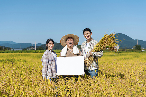 포토 JPG 주간 배너 여자 노년 남자 장갑 사각프레임 논 미소 들기 상반신 20대 성인 야외 앞모습 옆모습 세명 수건 농사 한국인 수확 추수 벼 가을 농촌 농부 밀짚모자 귀농 70대 전원생활 국내포토 여주시 자연요소 직업 모자_잡화 잡화 계절 뷰포인트 농업 모션 곡류 프레임 표정 사람 동양인 청년 생활 위생용품 사각형 시골 경기도 파일형식