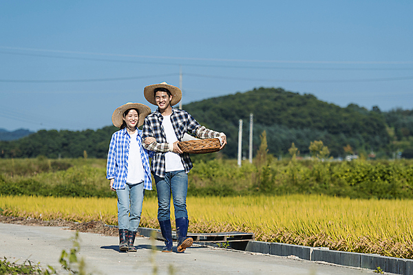 포토 JPG 주간 전신 부부 여자 남자 논 미소 들기 20대 성인 야외 두명 앞모습 소쿠리 걷기 팔짱 농사 한국인 가을 농촌 농부 밀짚모자 귀농 전원생활 논길 새참 성인만 국내포토 여주시 자연요소 직업 모자_잡화 커플 계절 길 뷰포인트 농업 모션 표정 사람 동양인 청년 생활 바구니 시골 경기도 파일형식