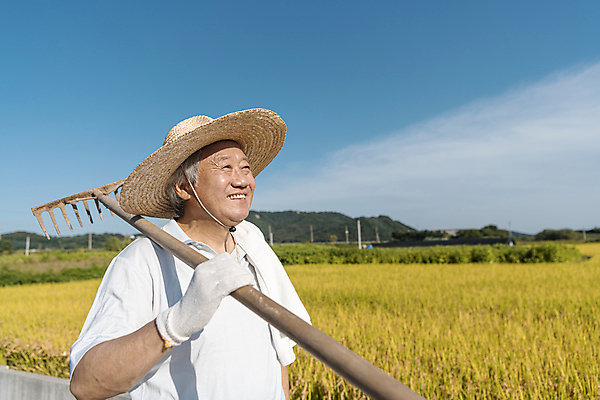 포토 JPG 주간 구름 응시 노년 남자 장갑 논 한명 미소 들기 상반신 야외 옆모습 수건 농사 한국인 추수 가을 농촌 농부 밀짚모자 귀농 70대 전원생활 갈퀴 노인남자한명만 국내포토 여주시 자연요소 직업 모자_잡화 1 시선 잡화 계절 뷰포인트 농업 모션 표정 사람 동양인 성인 생활 위생용품 시골 경기도 남자한명만 노인남자만 파일형식