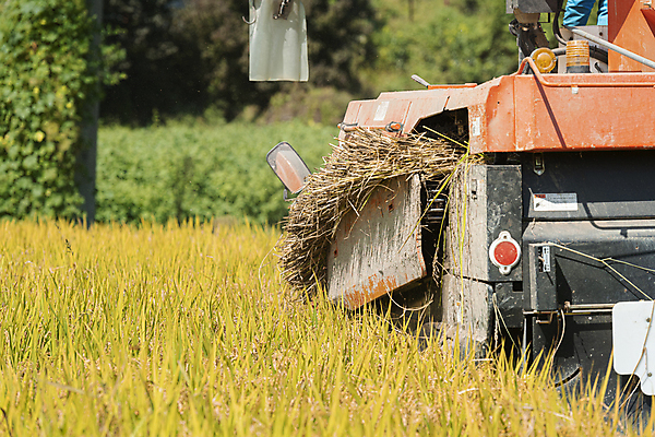 포토 JPG 주간 논 사람없음 야외 가을풍경 수확 추수 벼 가을 농촌 벼농사 콤바인 국내포토 여주시 자연요소 계절 농업 곡류 풍경 농사 시골 농기구 경기도 파일형식 가을_계절