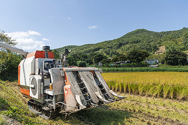 포토 JPG 주간 하늘 산 논 사람없음 야외 가을풍경 수확 추수 벼 가을 농촌 벼농사 콤바인 국내포토 여주시 자연요소 계절 농업 곡류 풍경 농사 시골 농기구 경기도 파일형식 가을_계절