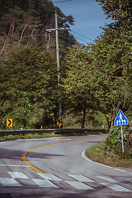 포토 JPG 주간 나무 도로 사람없음 야외 가을풍경 가을 시골 횡단보도 전봇대 도로표지판 가드레일 국내포토 여주시 자연요소 식물 계절 공공시설 길 교통시설 풍경 표지판 보행로 경기도 파일형식 가을_계절