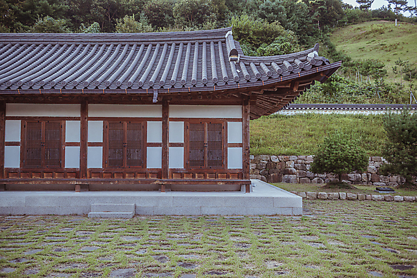 포토 JPG 주간 나무 한옥 사람없음 야외 가을풍경 가을 시골 언덕 고택 기와담장 국내포토 여주시 자연요소 식물 한국전통 건축물 계절 고건축 기와 풍경 담장 경기도 파일형식 가을_계절