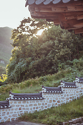 포토 JPG 주간 나무 한옥 사람없음 야외 햇빛 가을풍경 가을 시골 지붕처마 고택 기와담장 국내포토 여주시 자연요소 식물 한국전통 건축물 계절 고건축 지붕 기와 풍경 담장 태양 처마 경기도 파일형식 가을_계절