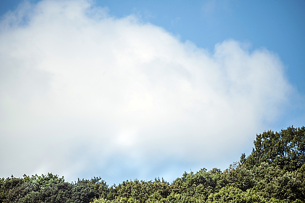 포토 JPG 주간 구름 하늘 나뭇잎 사람없음 야외 가을풍경 가을 시골 국내포토 여주시 자연요소 계절 잎 풍경 경기도 파일형식 가을_계절