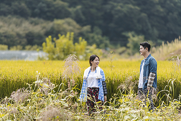 포토 JPG 주간 커플 응시 여자 남자 휴식 논 함께함 미소 상반신 20대 성인 야외 두명 앞모습 옆모습 산책 한국인 가을 농촌 뒤돌아보기 농부 귀농 전원생활 성인만 국내포토 여주시 자연요소 직업 시선 계절 뷰포인트 컨셉 농업 관계 모션 표정 사람 동양인 청년 생활 시골 경기도 파일형식