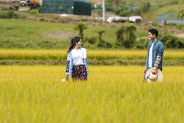 포토 JPG 주간 커플 응시 여자 남자 휴식 논 함께함 미소 들기 상반신 20대 성인 야외 두명 앞모습 옆모습 마주보기 한국인 벼 가을 농촌 농부 밀짚모자 귀농 전원생활 성인만 국내포토 여주시 자연요소 직업 모자_잡화 시선 계절 뷰포인트 컨셉 농업 관계 모션 곡류 표정 사람 동양인 청년 생활 시골 경기도 파일형식