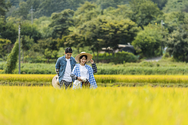 포토 JPG 주간 커플 여자 남자 휴식 논 함께함 미소 상반신 20대 성인 야외 두명 앞모습 걷기 한국인 벼 가을 농촌 잡기 농부 뒷짐 밀짚모자 귀농 전원생활 성인만 국내포토 여주시 자연요소 직업 모자_잡화 계절 뷰포인트 컨셉 농업 관계 모션 곡류 표정 사람 동양인 청년 생활 시골 경기도 파일형식