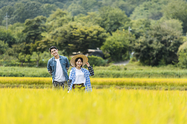 포토 JPG 주간 커플 응시 여자 남자 휴식 논 함께함 미소 상반신 20대 성인 야외 두명 앞모습 걷기 한국인 벼 가을 농촌 잡기 농부 뒷짐 밀짚모자 귀농 전원생활 성인만 국내포토 여주시 자연요소 직업 모자_잡화 시선 계절 뷰포인트 컨셉 농업 관계 모션 곡류 표정 사람 동양인 청년 생활 시골 경기도 파일형식