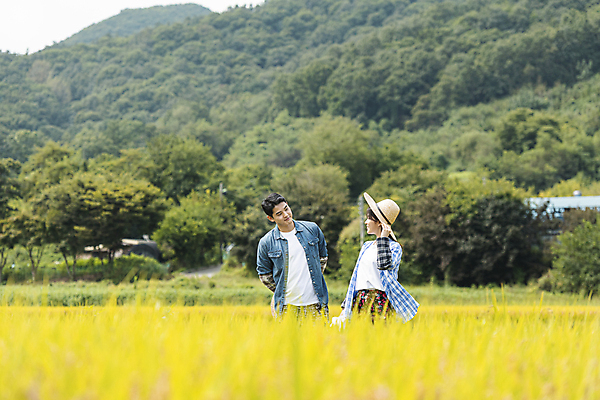 포토 JPG 주간 커플 응시 여자 남자 휴식 논 함께함 미소 상반신 20대 성인 야외 두명 앞모습 옆모습 한국인 벼 가을 농촌 잡기 뒤돌아보기 농부 뒷짐 밀짚모자 귀농 전원생활 성인만 국내포토 여주시 자연요소 직업 모자_잡화 시선 계절 뷰포인트 컨셉 농업 관계 모션 곡류 표정 사람 동양인 청년 생활 시골 경기도 파일형식