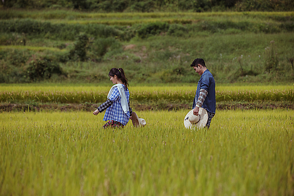 포토 JPG 주간 커플 여자 남자 휴식 논 함께함 들기 상반신 20대 성인 야외 두명 옆모습 걷기 한국인 가을 농촌 농부 밀짚모자 귀농 전원생활 성인만 국내포토 여주시 자연요소 직업 모자_잡화 계절 뷰포인트 컨셉 농업 관계 모션 사람 동양인 청년 생활 시골 경기도 파일형식