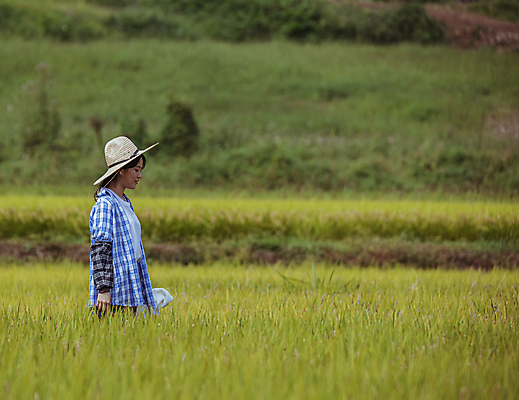 포토 JPG 주간 여자 휴식 논 한명 미소 상반신 20대 성인 야외 옆모습 걷기 한국인 가을 농촌 농부 밀짚모자 귀농 전원생활 성인여자한명만 국내포토 여주시 자연요소 직업 모자_잡화 1 계절 뷰포인트 컨셉 농업 모션 표정 사람 동양인 청년 생활 시골 경기도 여자한명만 성인여자만 파일형식