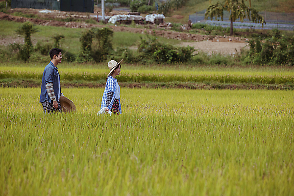 포토 JPG 주간 커플 여자 남자 휴식 논 함께함 미소 상반신 20대 성인 야외 두명 옆모습 걷기 한국인 가을 농촌 농부 밀짚모자 귀농 전원생활 성인만 국내포토 여주시 자연요소 직업 모자_잡화 계절 뷰포인트 컨셉 농업 관계 모션 표정 사람 동양인 청년 생활 시골 경기도 파일형식