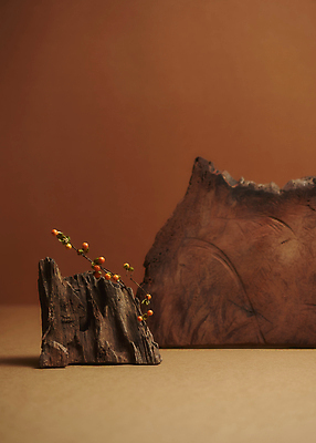 포토 JPG 스튜디오촬영 열매 산 실내 사람없음 목재 가을 나뭇가지 분위기 오브젝트 감성 나무조각 갈색배경 국내포토 나무 식물 계절 백그라운드 컨셉 재료 내부 갈색 파일형식