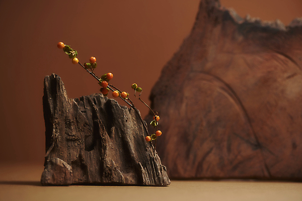 포토 JPG 스튜디오촬영 열매 산 실내 사람없음 목재 가을 나뭇가지 분위기 오브젝트 감성 나무조각 갈색배경 국내포토 나무 식물 계절 백그라운드 컨셉 재료 내부 갈색 파일형식