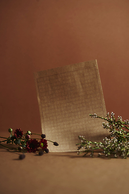포토 JPG 스튜디오촬영 실내 사람없음 가을 분위기 편지지 오브젝트 감성 조화 한장 원고지 갈색배경 국내포토 1 계절 백그라운드 컨셉 내부 갈색 편지 파일형식
