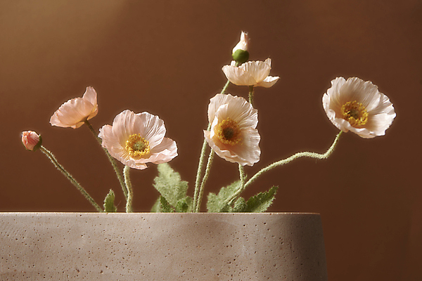 포토 JPG 스튜디오촬영 화분 실내 사람없음 가을 분위기 오브젝트 꽃봉오리 양귀비 감성 조화 갈색배경 국내포토 계절 꽃 백그라운드 컨셉 내부 갈색 파일형식