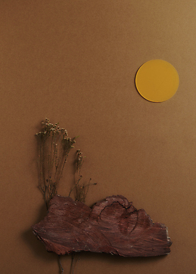 포토 JPG 스튜디오촬영 실내 사람없음 목재 하이앵글 보름달 가을 분위기 오브젝트 감성 나무조각 조화 갈색배경 국내포토 나무 계절 뷰포인트 백그라운드 컨셉 재료 내부 갈색 달 파일형식