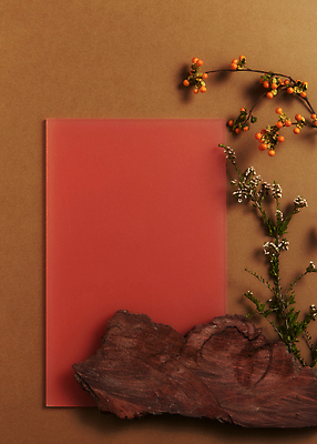 포토 JPG 스튜디오촬영 열매 실내 사람없음 목재 하이앵글 가을 분위기 오브젝트 감성 나무조각 조화 카피스페이스 갈색배경 국내포토 나무 식물 계절 뷰포인트 백그라운드 컨셉 재료 내부 갈색 공백 파일형식