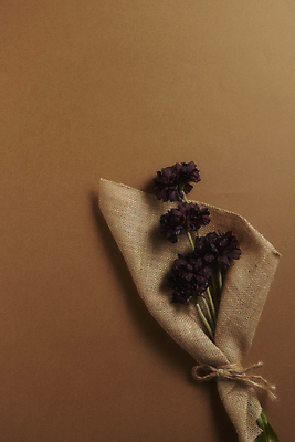 포토 JPG 스튜디오촬영 꽃다발 실내 사람없음 가을 분위기 삼베 오브젝트 감성 조화 노끈 갈색배경 국내포토 계절 꽃 줄 백그라운드 컨셉 내부 갈색 파일형식 천_직물