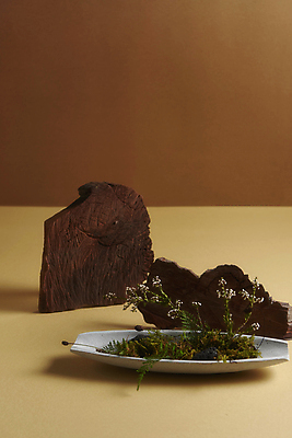 포토 JPG 스튜디오촬영 화분 실내 사람없음 목재 가을 분위기 오브젝트 감성 나무조각 조화 갈색배경 국내포토 나무 계절 백그라운드 컨셉 재료 내부 갈색 파일형식