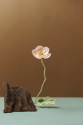 포토 JPG 스튜디오촬영 한송이 실내 사람없음 목재 가을 분위기 오브젝트 양귀비 감성 나무조각 조화 갈색배경 민트색배경 국내포토 나무 1 계절 꽃 백그라운드 컨셉 재료 내부 갈색 송이 민트색 파일형식