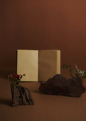 포토 JPG 스튜디오촬영 실내 사람없음 목재 책 펼침 가을 분위기 오브젝트 감성 나무조각 조화 갈색배경 국내포토 나무 계절 백그라운드 컨셉 재료 모션 내부 갈색 파일형식