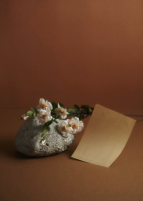 포토 JPG 스튜디오촬영 종이 실내 사람없음 가을 돌_바위 분위기 편지지 오브젝트 감성 조화 한장 갈색배경 국내포토 1 계절 백그라운드 컨셉 내부 갈색 편지 파일형식