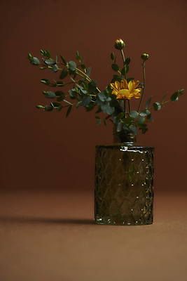 포토 JPG 스튜디오촬영 유리병 실내 사람없음 꽃병 가을 분위기 오브젝트 꽃봉오리 감성 조화 갈색배경 국내포토 계절 꽃 백그라운드 컨셉 병_용기 내부 갈색 파일형식