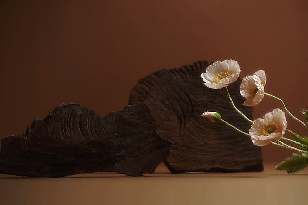 포토 JPG 스튜디오촬영 실내 사람없음 목재 가을 분위기 오브젝트 꽃봉오리 양귀비 감성 나무조각 조화 갈색배경 국내포토 나무 계절 꽃 백그라운드 컨셉 재료 내부 갈색 파일형식