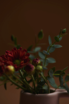 포토 JPG 스튜디오촬영 잎 실내 근접촬영 사람없음 아웃포커스 꽃병 가을 분위기 소프트포커스 오브젝트 꽃봉오리 감성 조화 갈색배경 국내포토 식물 계절 꽃 뷰포인트 백그라운드 컨셉 촬영기법 내부 갈색 파일형식