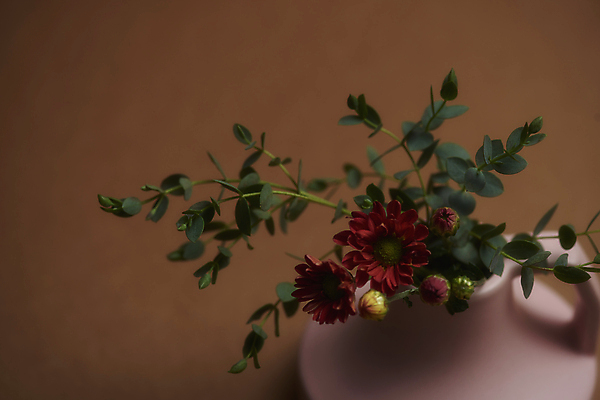 포토 JPG 스튜디오촬영 잎 실내 사람없음 하이앵글 꽃병 가을 분위기 오브젝트 꽃봉오리 감성 조화 갈색배경 국내포토 식물 계절 꽃 뷰포인트 백그라운드 컨셉 내부 갈색 파일형식