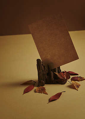포토 JPG 스튜디오촬영 종이 단풍 낙엽 실내 사람없음 목재 가을 분위기 편지지 오브젝트 감성 나무조각 꽂음 한장 갈색배경 국내포토 나무 1 계절 백그라운드 컨셉 잎 재료 내부 갈색 편지 파일형식