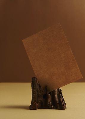 포토 JPG 스튜디오촬영 종이 실내 사람없음 목재 가을 분위기 편지지 오브젝트 감성 나무조각 꽂음 한장 갈색배경 국내포토 나무 1 계절 백그라운드 컨셉 재료 내부 갈색 편지 파일형식