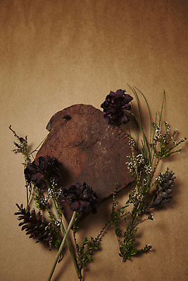 포토 JPG 스튜디오촬영 실내 사람없음 목재 하이앵글 가을 분위기 오브젝트 솔방울 감성 나무조각 조화 갈색배경 국내포토 나무 계절 뷰포인트 백그라운드 컨셉 재료 내부 갈색 파일형식