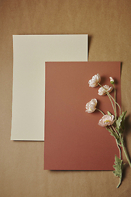 포토 JPG 스튜디오촬영 종이 실내 사람없음 하이앵글 가을 분위기 편지지 오브젝트 양귀비 감성 조화 두장 카피스페이스 갈색배경 국내포토 계절 꽃 뷰포인트 백그라운드 컨셉 2 내부 갈색 공백 편지 파일형식