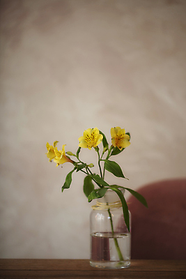 포토 JPG 꽃 여러송이 유리병 서울 실내 사람없음 꽃병 감성 알스트로에메리아 국내포토 식물 다수 컨셉 병_용기 한국 내부 파일형식