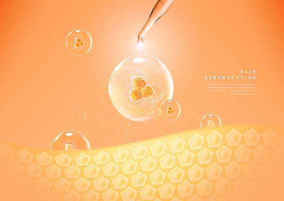 PSD 편집이미지 세포 사람없음 빛 뷰티 주황색 물방울 스포이트 피부 피부관리 스킨케어 회복 피부층 이미지편집 컬러 컨셉 신체부위 피펫 파일형식