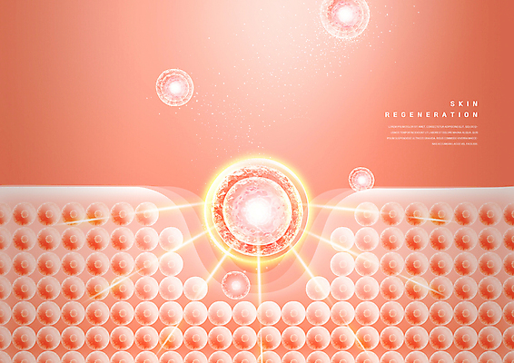PSD 편집이미지 세포 사람없음 빛 뷰티 물방울 피부 피부관리 스킨케어 트러블케어 회복 코랄 피부층 이미지편집 컬러 컨셉 신체부위 파일형식