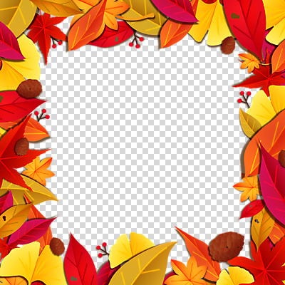 편집 편집이미지 열매 단풍 낙엽 사각프레임 프레임 누끼 사람없음 가을 은행잎 솔방울 PNG 편집소스 식물 계절 잎 사각형 파일형식