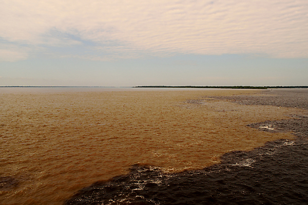 포토 JPG 해외이미지 나무 동물 공원 호수 야생동물 여행 백그라운드 포유류 파충류 자연 조류 하늘 풍경 사람없음 야외 초록색 물 파란색 강 컬러풀 미국 젖음 황무지 남아메리카 습지 숲 홍수 앵무새 브라질 생태학 아마존 이국적 재규어 브라질사람 해외포토 자연요소 식물 공공시설 교육 컬러 북아메리카 아메리카 자연재해 생태계 파일형식 이미지허브